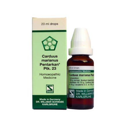 Carduus marianus PTK 23