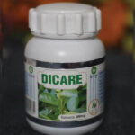 Dicare Capsule