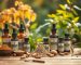 homeopathy for sexual weakness