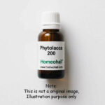 Phytolacca 200