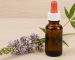 agnus castus